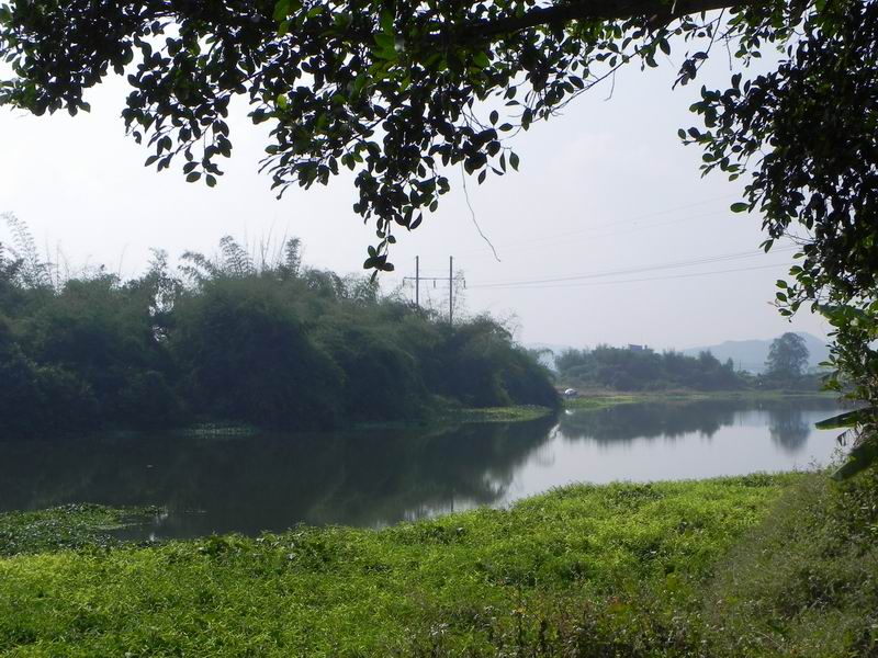 С DSCN8112.JPG