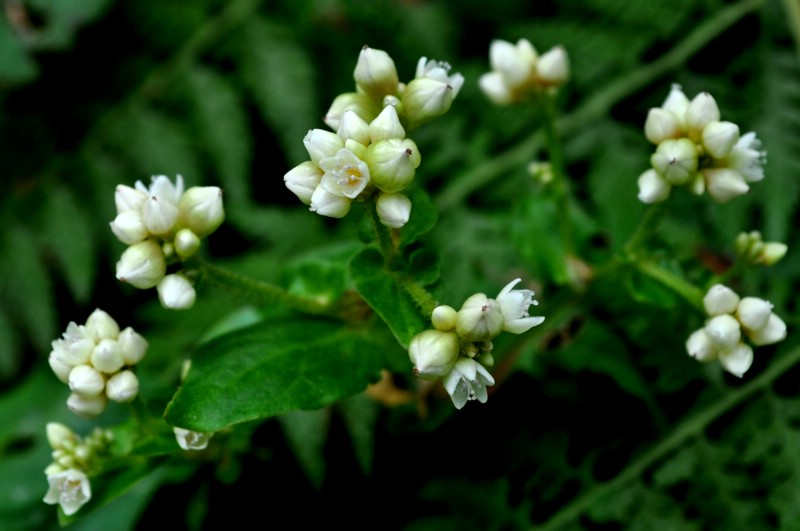 DSC_1841.jpg