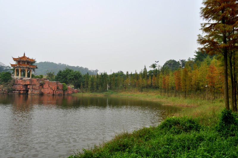DSC_1900.jpg