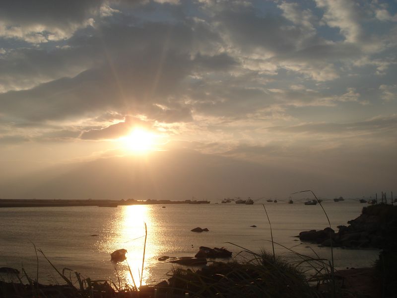DSC01011.jpg