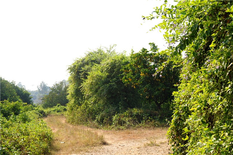 ַ.jpg