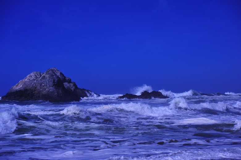 DSC_1965_conew1.jpg