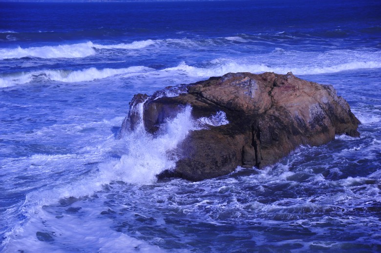 DSC_2064_conew1.jpg