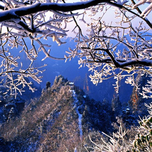 1168816971_4716_conew1.jpg