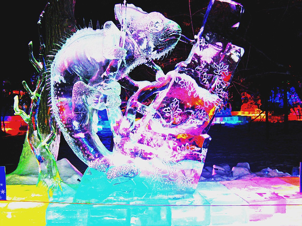 267398_173702024427_2_conew1.jpg