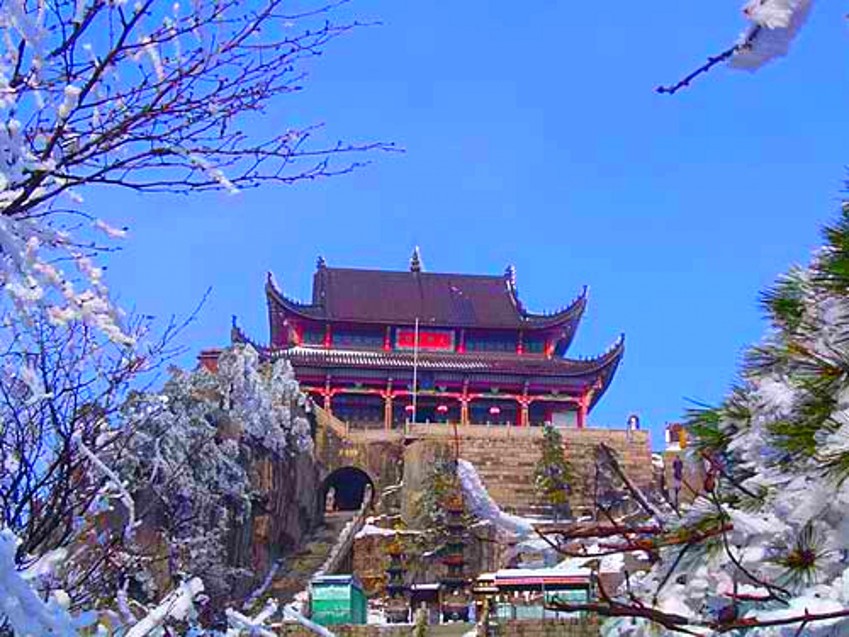 xin_3330105301453187143577_conew1.jpg