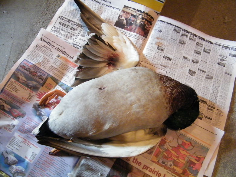 DSCF4326.JPG