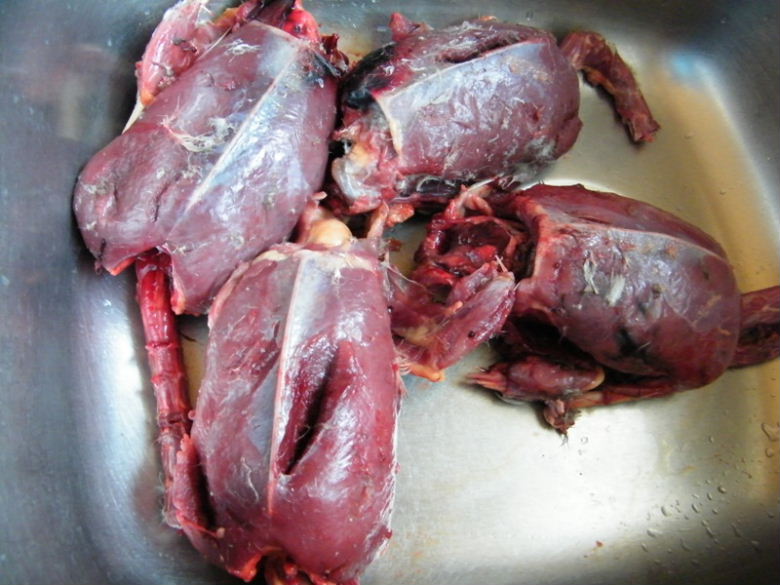DSCF4342=0.jpg