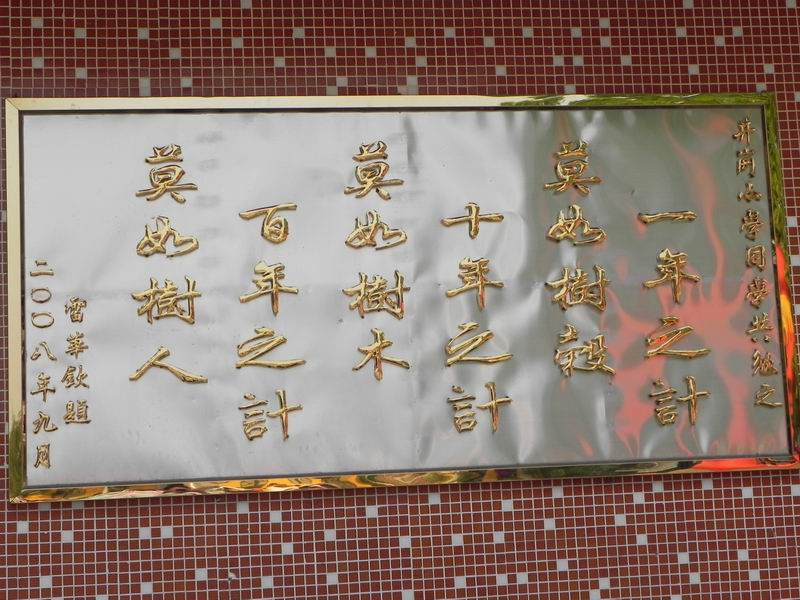 С DSCN7847.JPG