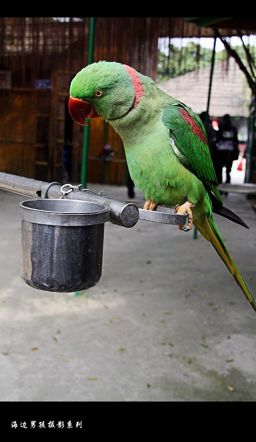IMG_3276_conew1.jpg