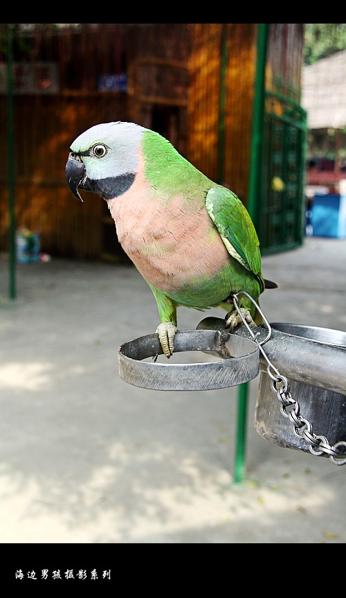 IMG_3283_conew1.jpg