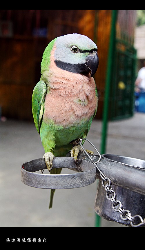 IMG_3279_conew1.jpg