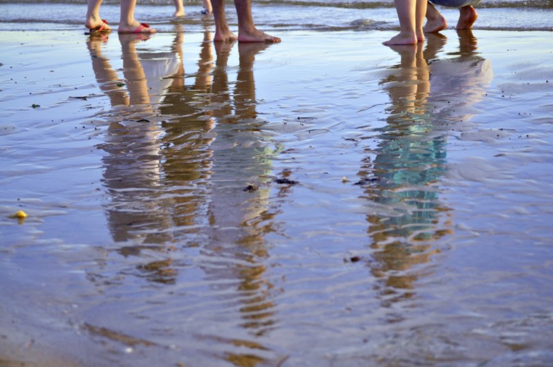 _CSC1206 [800x600].jpg