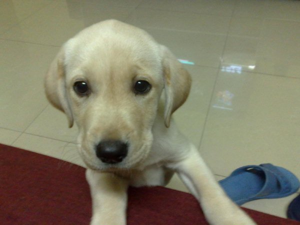 20090305081.jpg