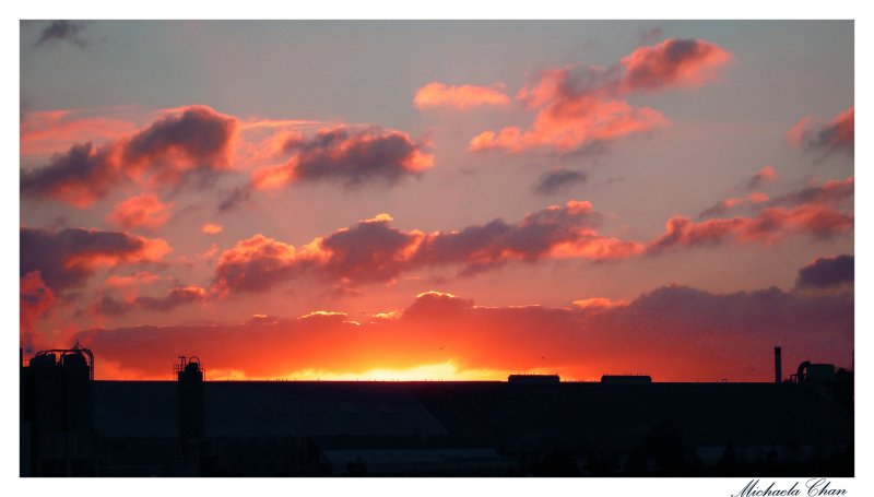 Michaela\&#39;s Photography (26).jpg