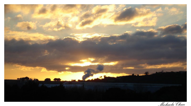 Michaela\&#39;s Photography (25).jpg