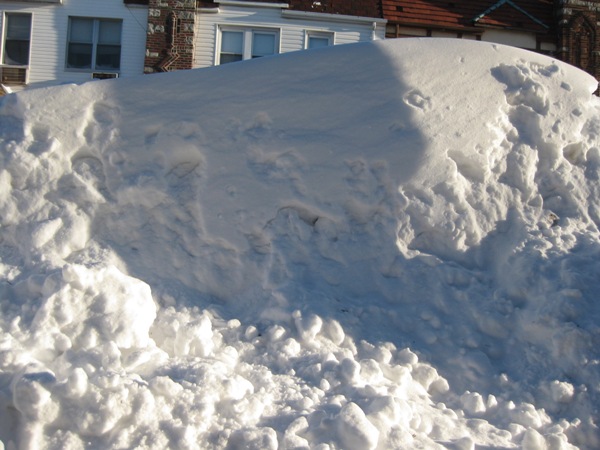 Snow 2010 022.jpg