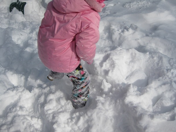 Snow 2010 020.jpg