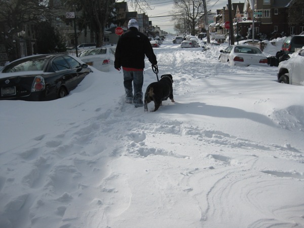 Snow 2010 008.jpg