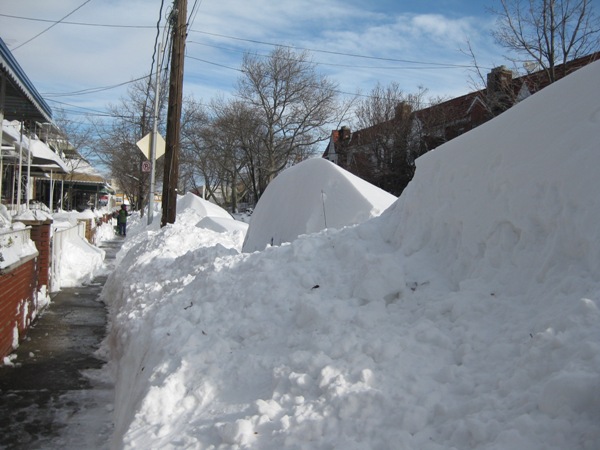 Snow 2010 003.jpg