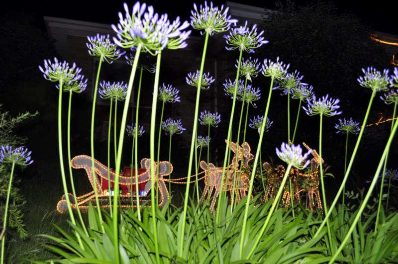 _CSC3370 [800x600].jpg