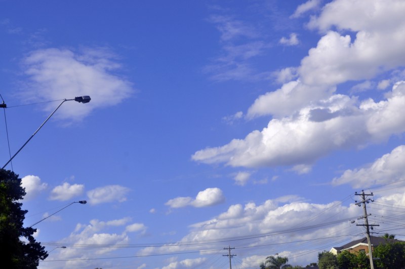 _CSC2641 [800x600].jpg