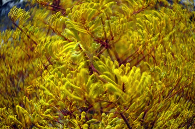 _CSC2653 [800x600].jpg