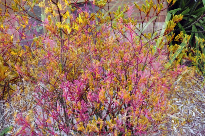 _CSC2730 [800x600].jpg