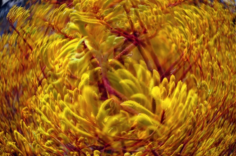 _CSC2652 [800x600].jpg