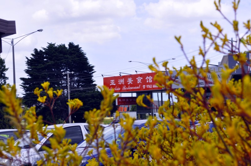 _CSC2739 [800x600].jpg