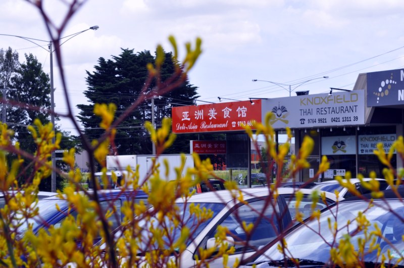 _CSC2741 [800x600].jpg