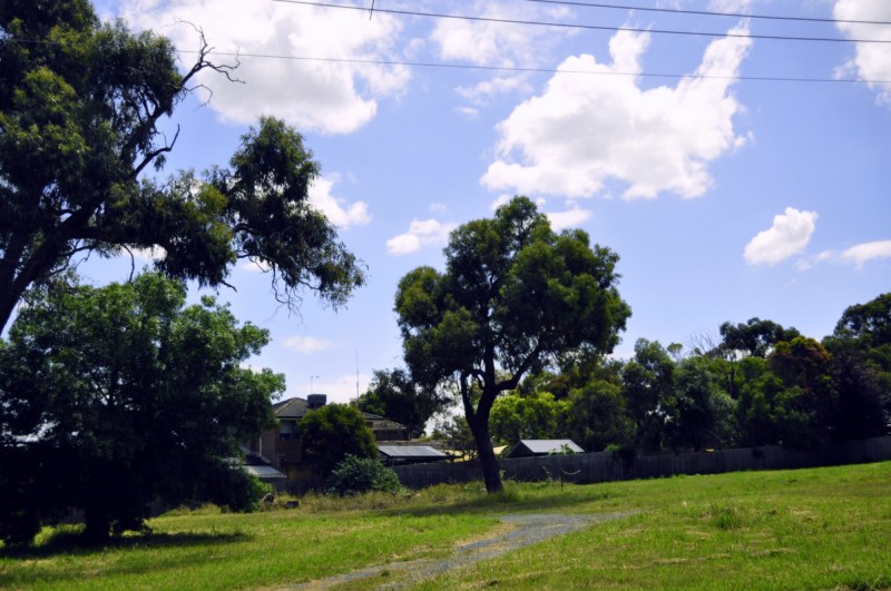 _CSC2664 [800x600].jpg