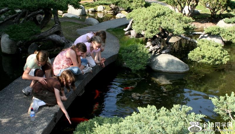 Feb-2008 186 (Medium).jpg