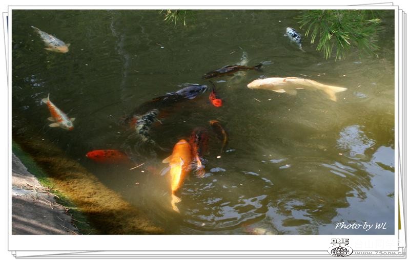 Huntington Library.08 2800 (Medium).jpg