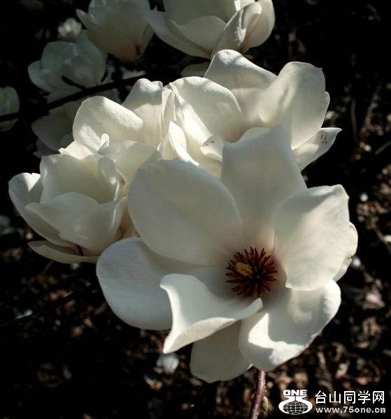 Feb-2008 221 (Medium).jpg