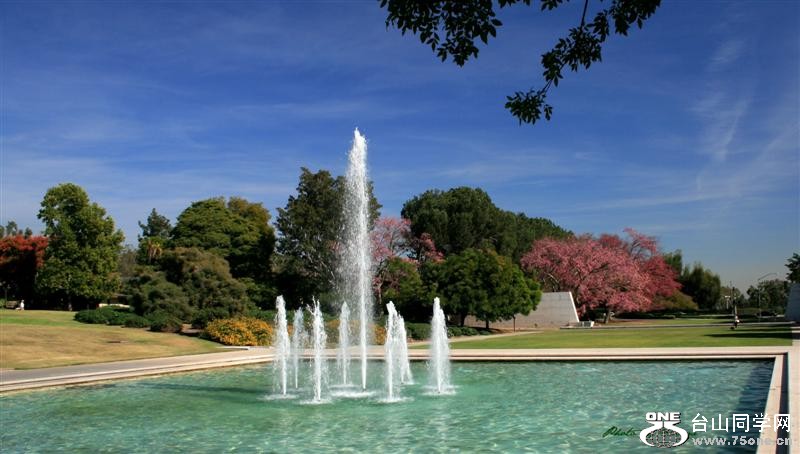 Picture 0999 (Medium).jpg