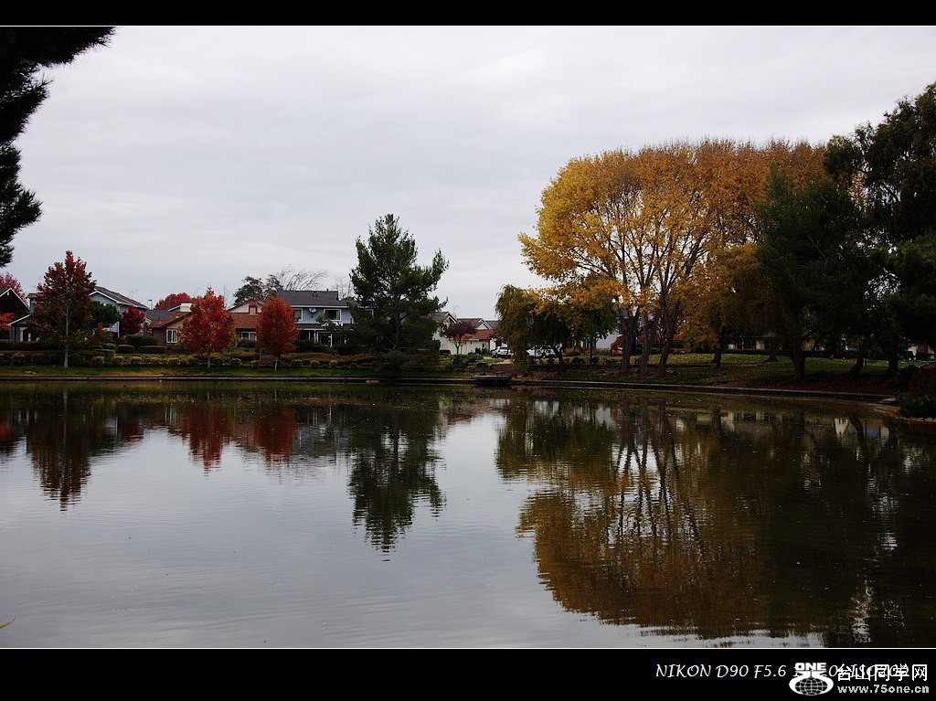 DSC_2172.jpg