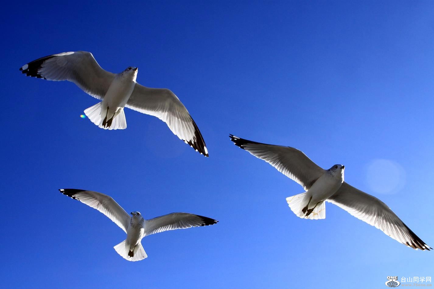 �}�u -IMG_6806.jpg