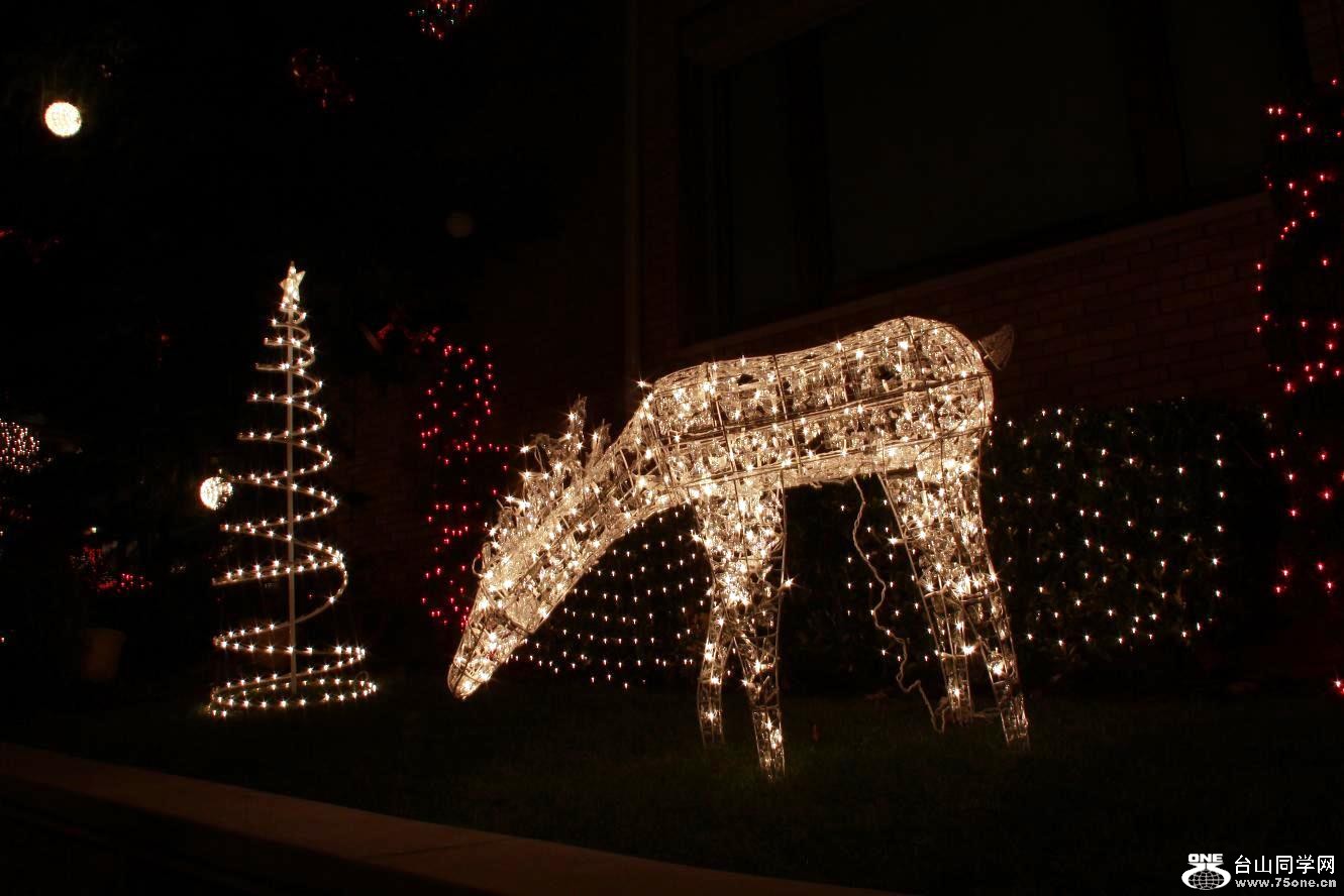 �}�u -IMG_7119.jpg