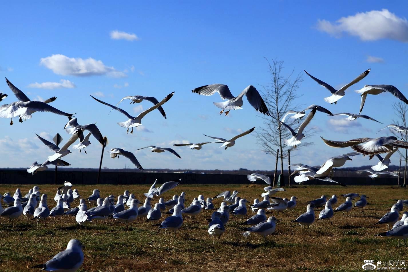 �}�u -IMG_6674.jpg