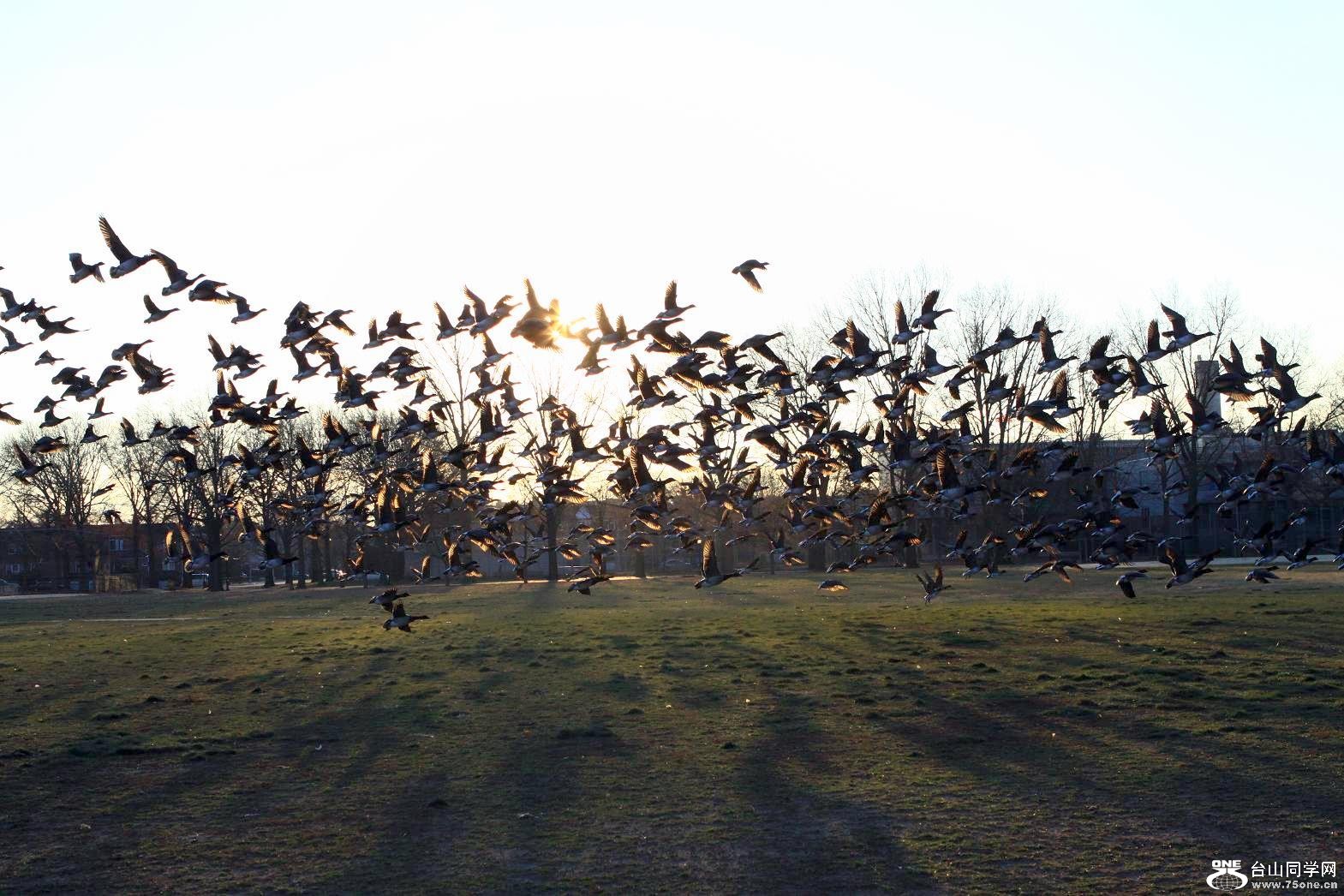 �}�u -IMG_7544.jpg