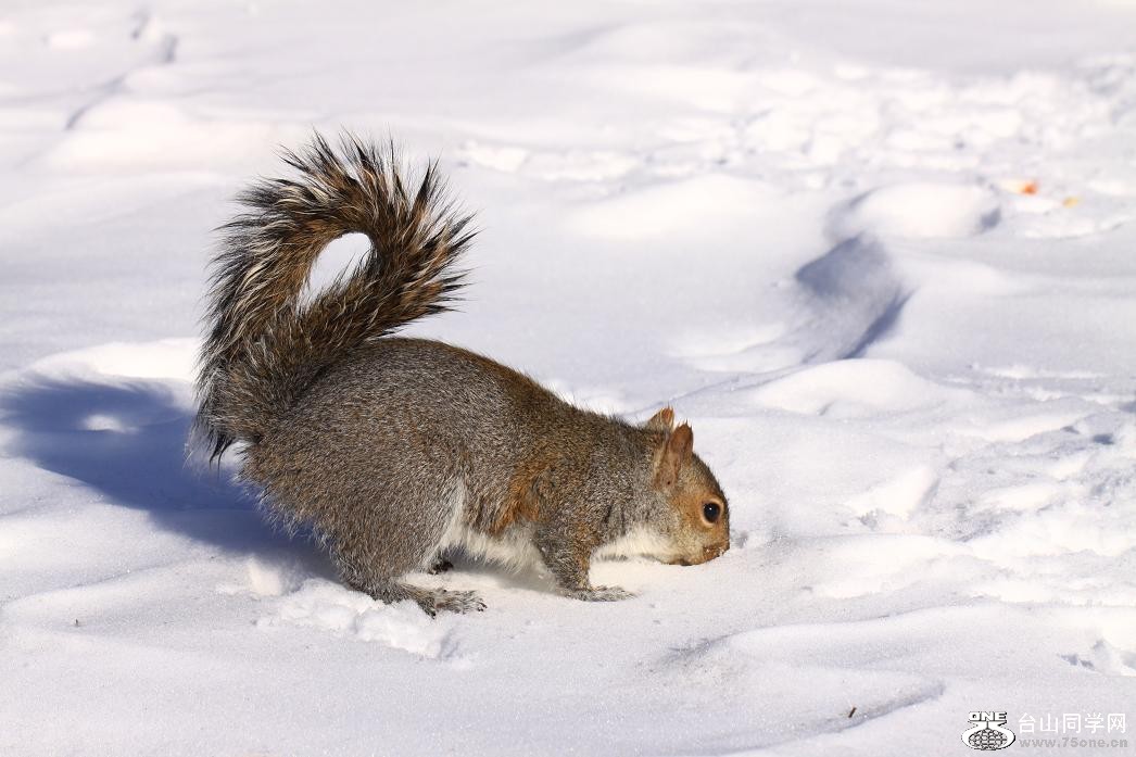 �}�u -IMG_8474.jpg