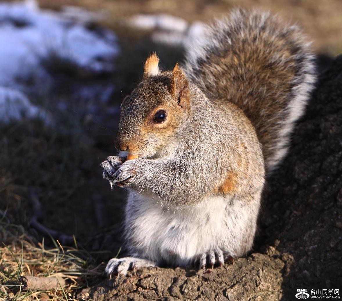 �}�u -IMG_8541.jpg