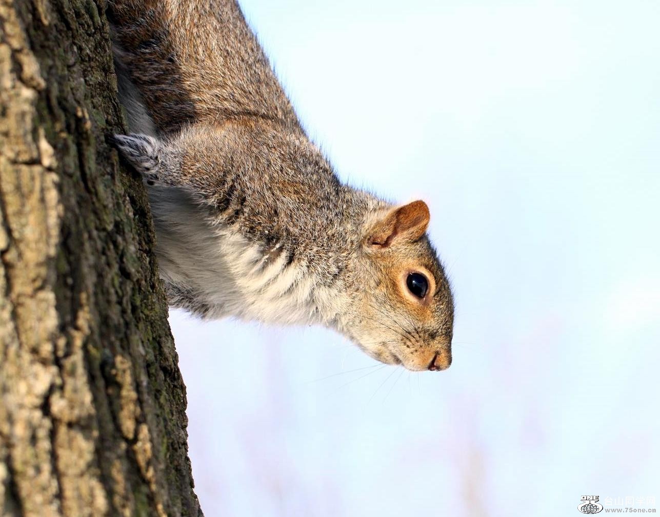 �}�u -IMG_8334.jpg