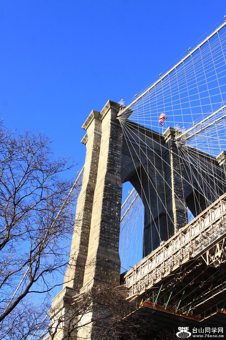 �}�u -IMG_7672.jpg