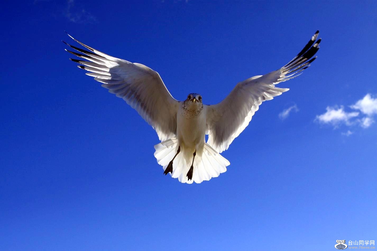 �}�u -IMG_6846.jpg