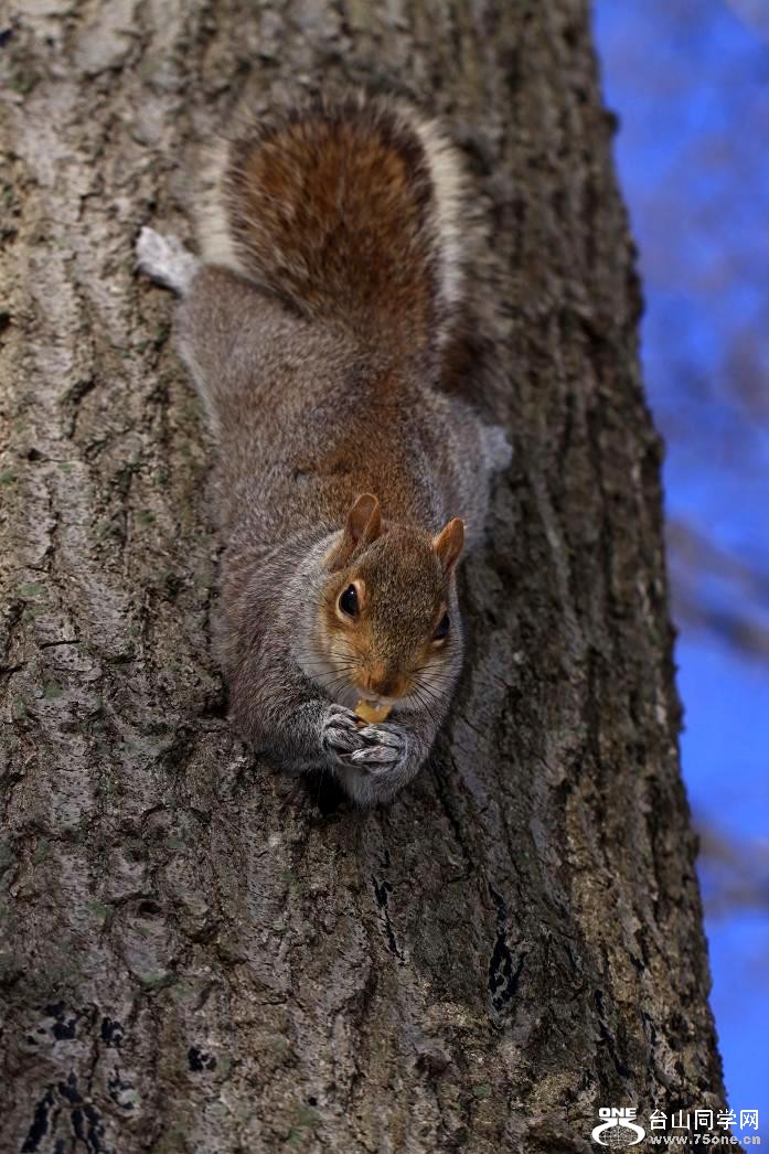 �}�u -IMG_8336.jpg