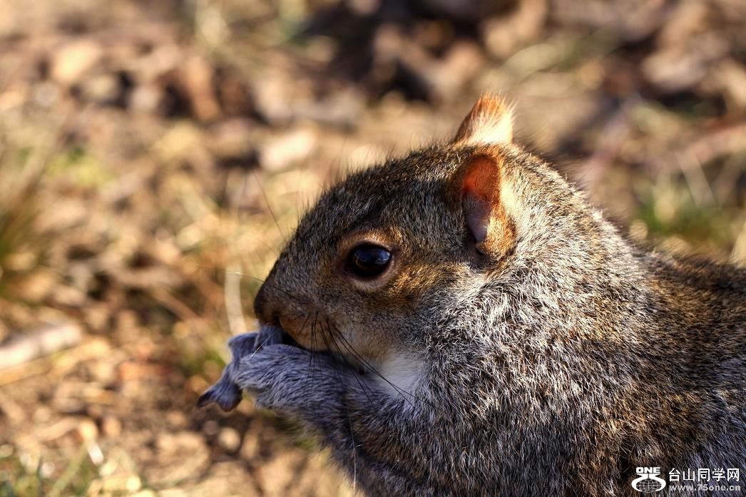 �}�u -IMG_8368.jpg