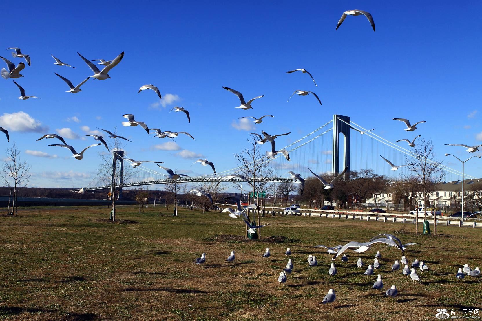 �}�u -IMG_6691.jpg