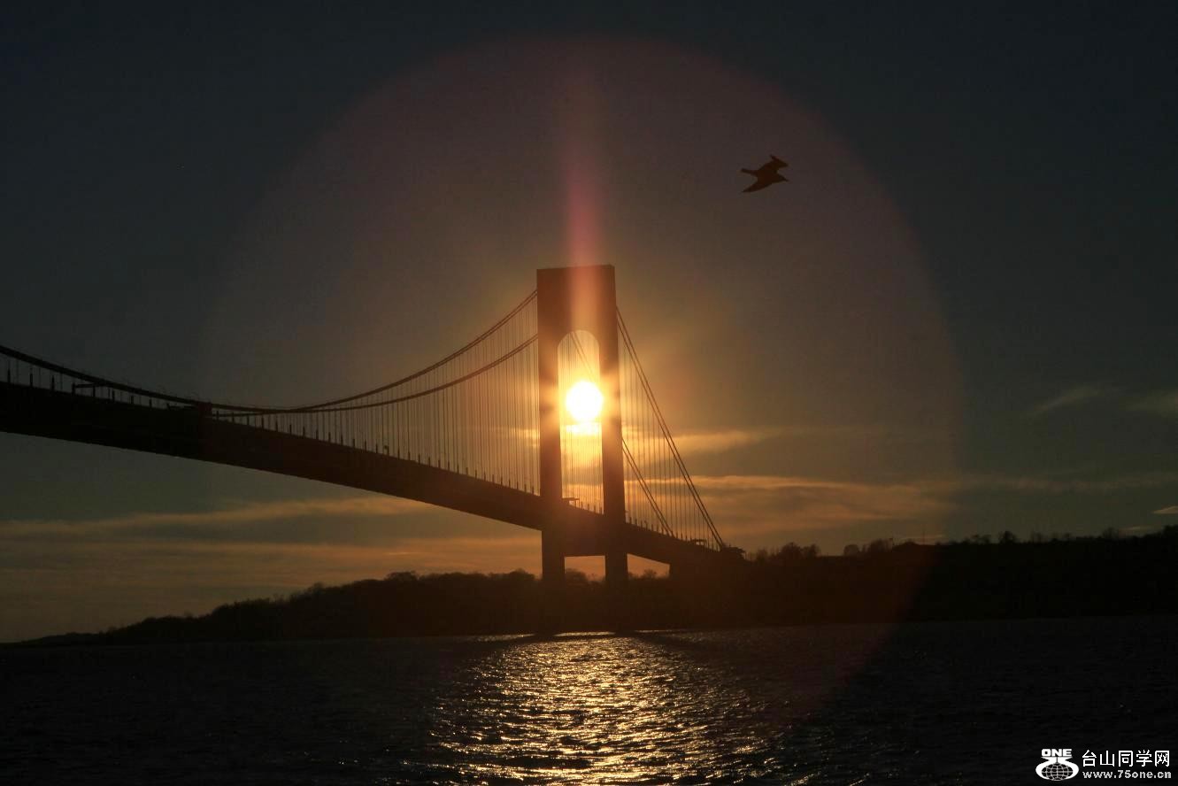 �}�u -IMG_7731.jpg